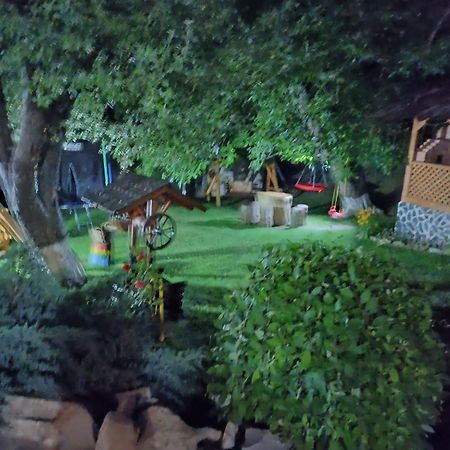 Casa Dintre Pini Villa Păltinoasa Eksteriør billede