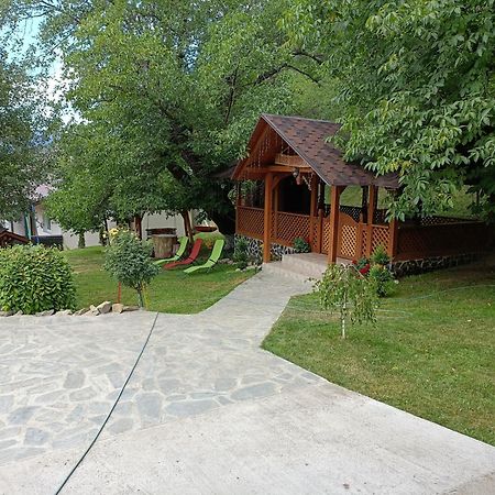 Casa Dintre Pini Villa Păltinoasa Eksteriør billede