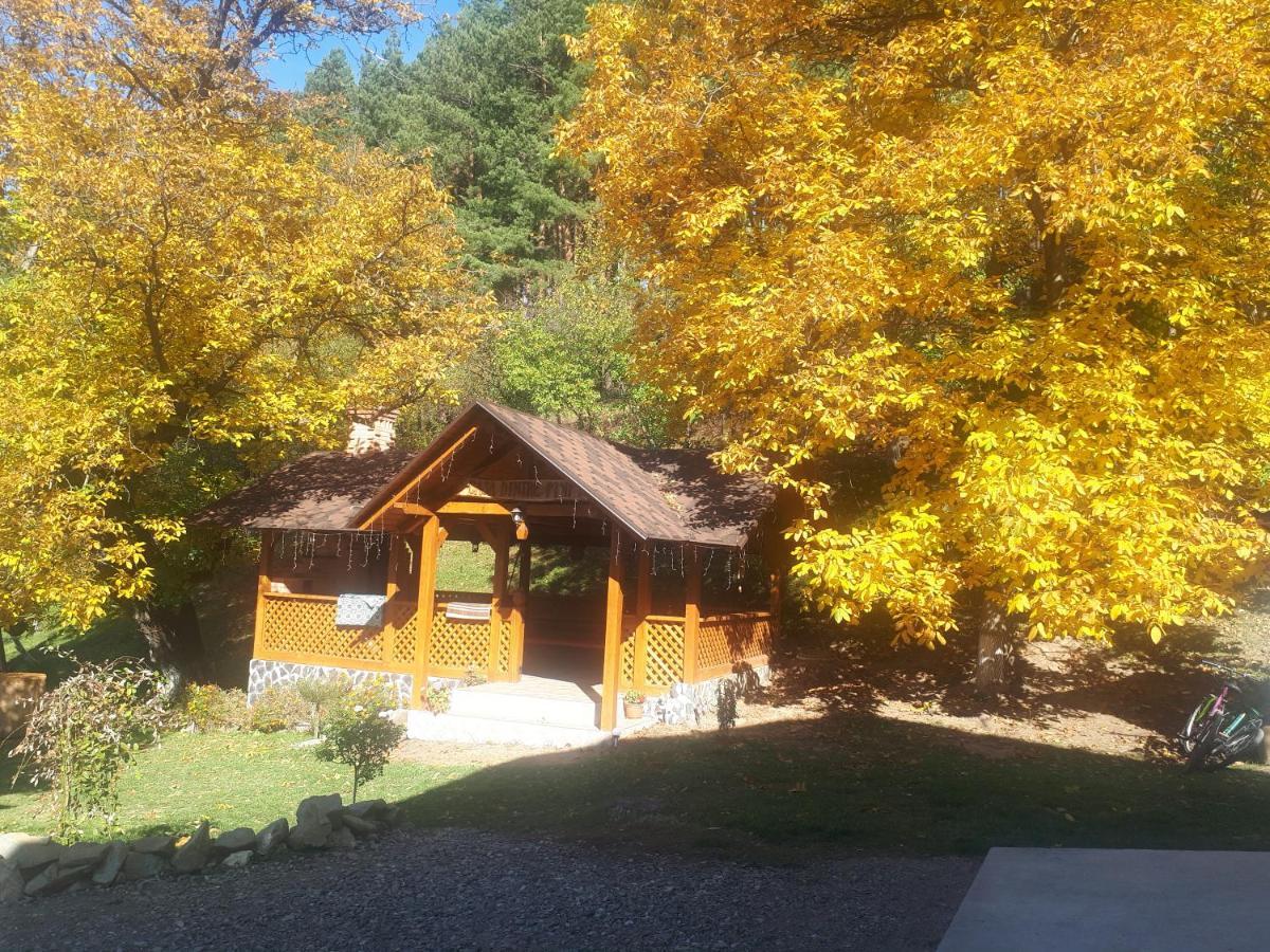 Casa Dintre Pini Villa Păltinoasa Eksteriør billede