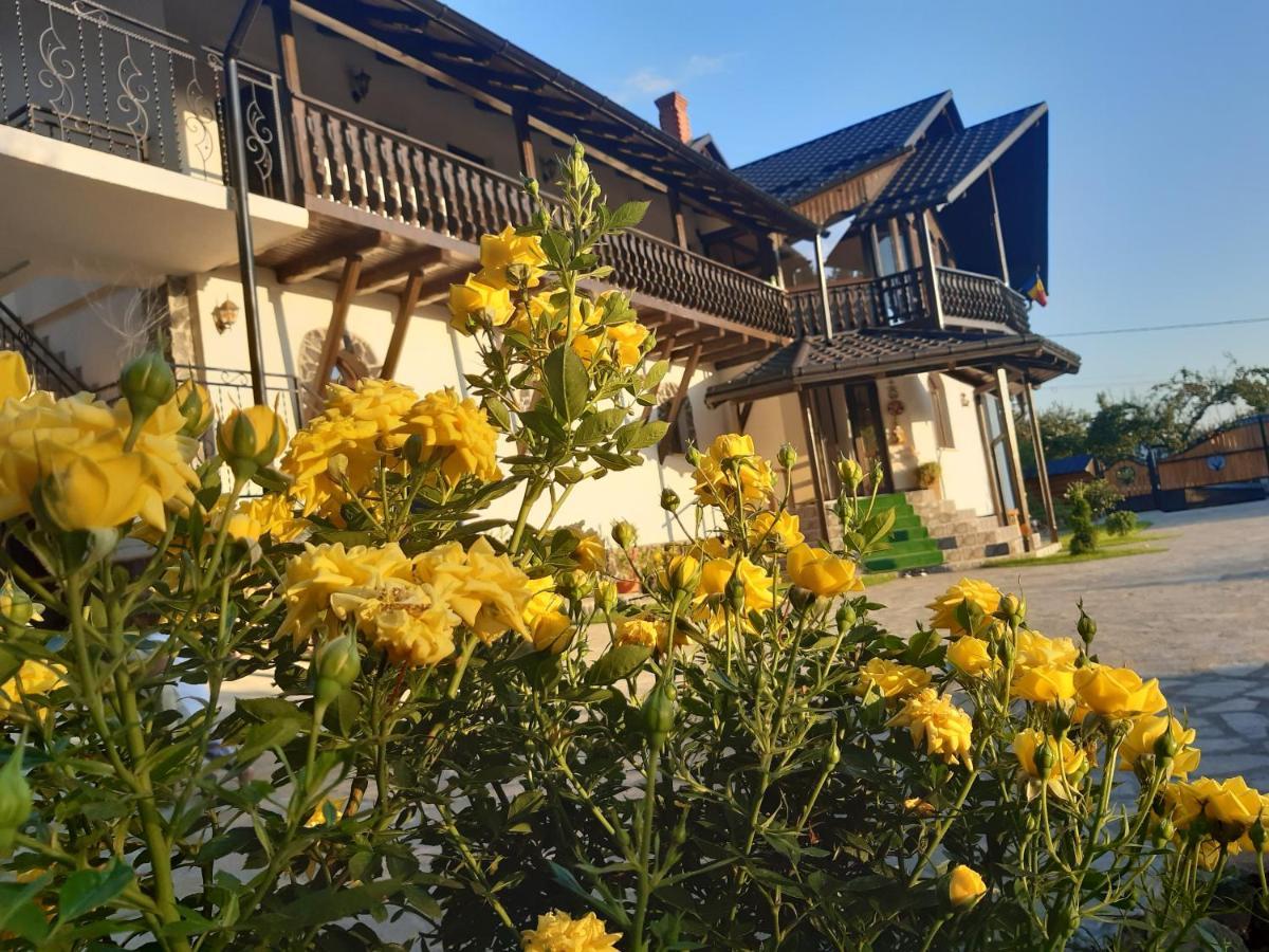 Casa Dintre Pini Villa Păltinoasa Eksteriør billede