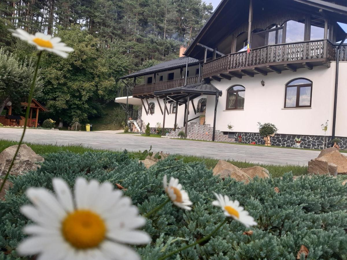 Casa Dintre Pini Villa Păltinoasa Eksteriør billede