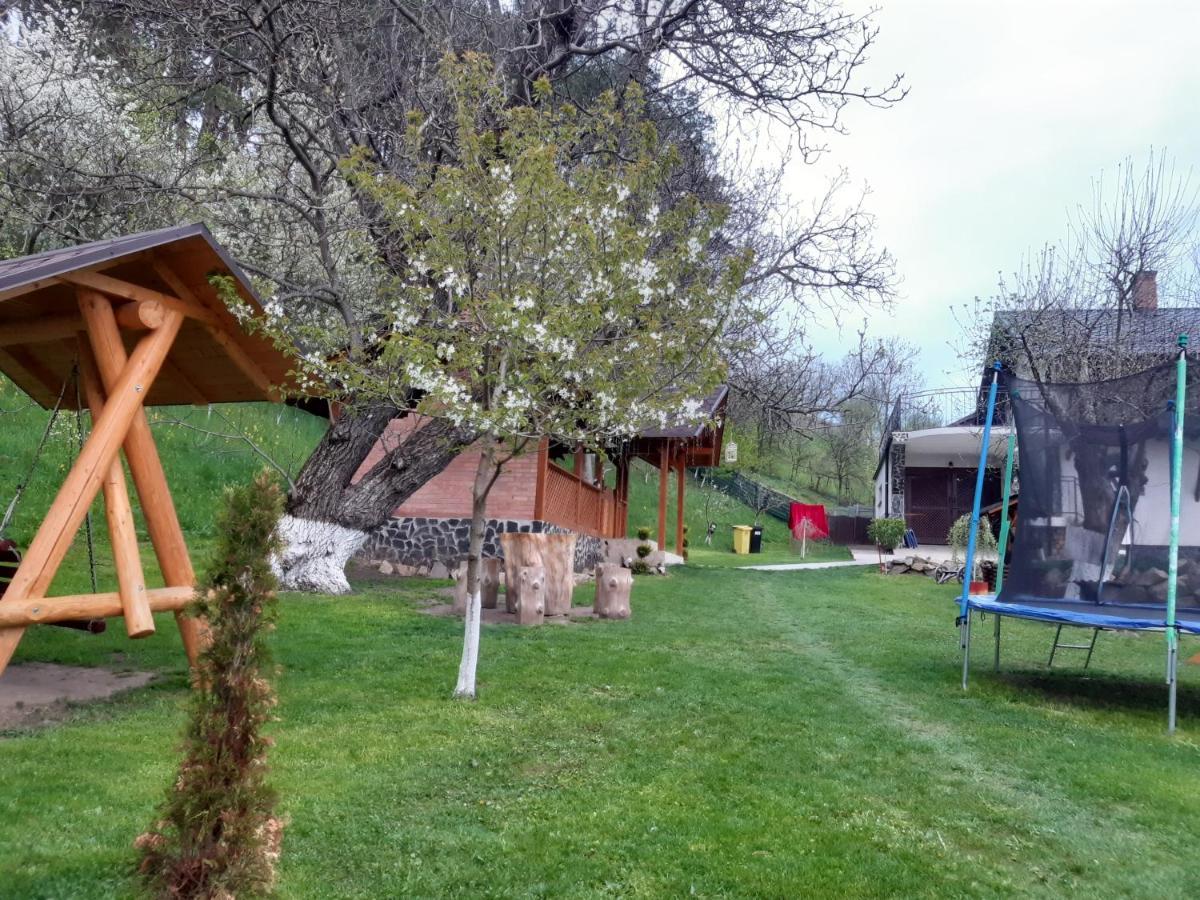 Casa Dintre Pini Villa Păltinoasa Eksteriør billede