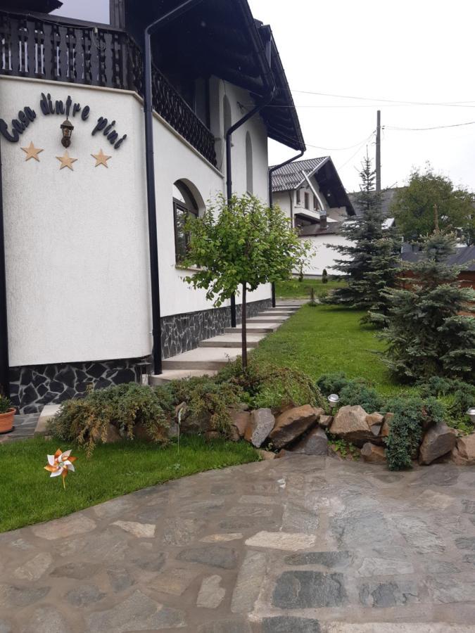 Casa Dintre Pini Villa Păltinoasa Eksteriør billede