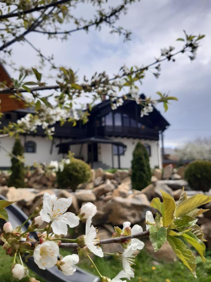 Casa Dintre Pini Villa Păltinoasa Eksteriør billede