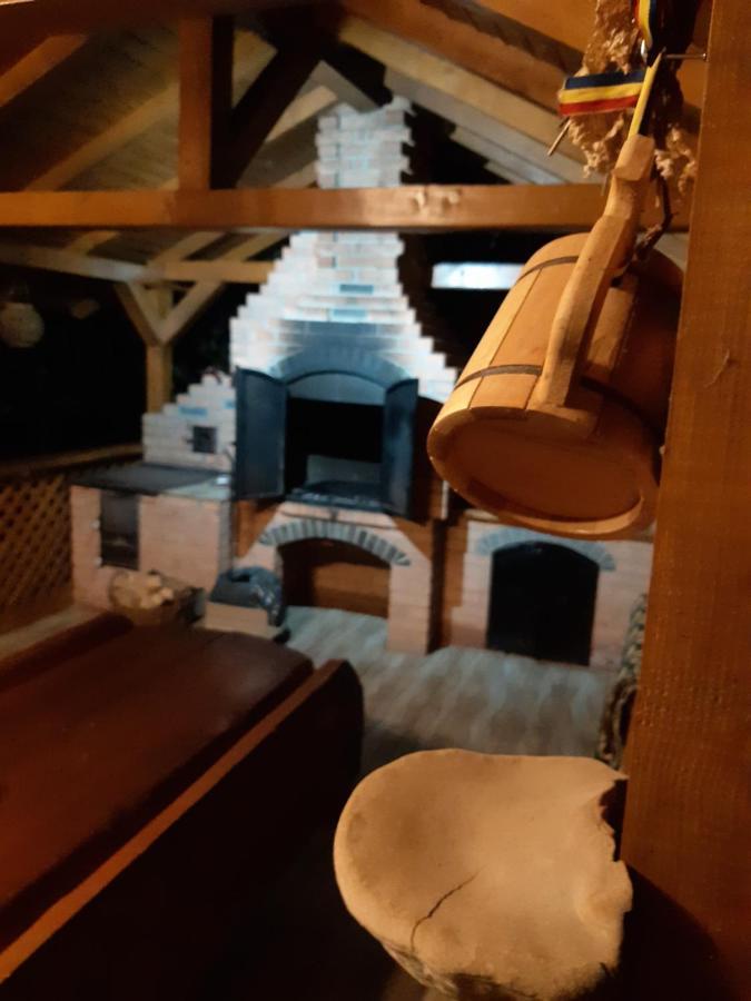 Casa Dintre Pini Villa Păltinoasa Eksteriør billede
