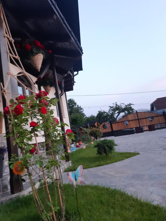 Casa Dintre Pini Villa Păltinoasa Eksteriør billede