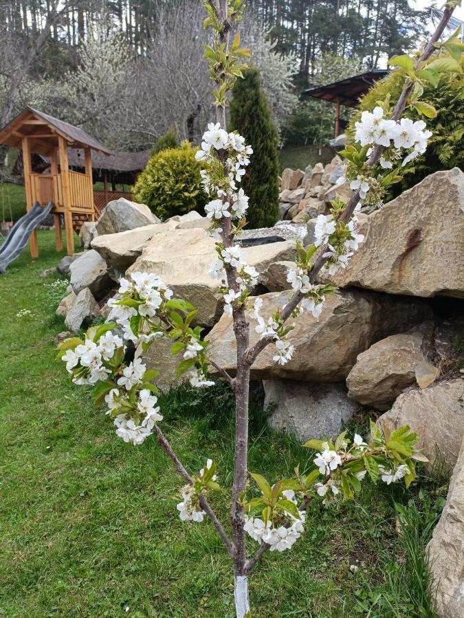 Casa Dintre Pini Villa Păltinoasa Eksteriør billede