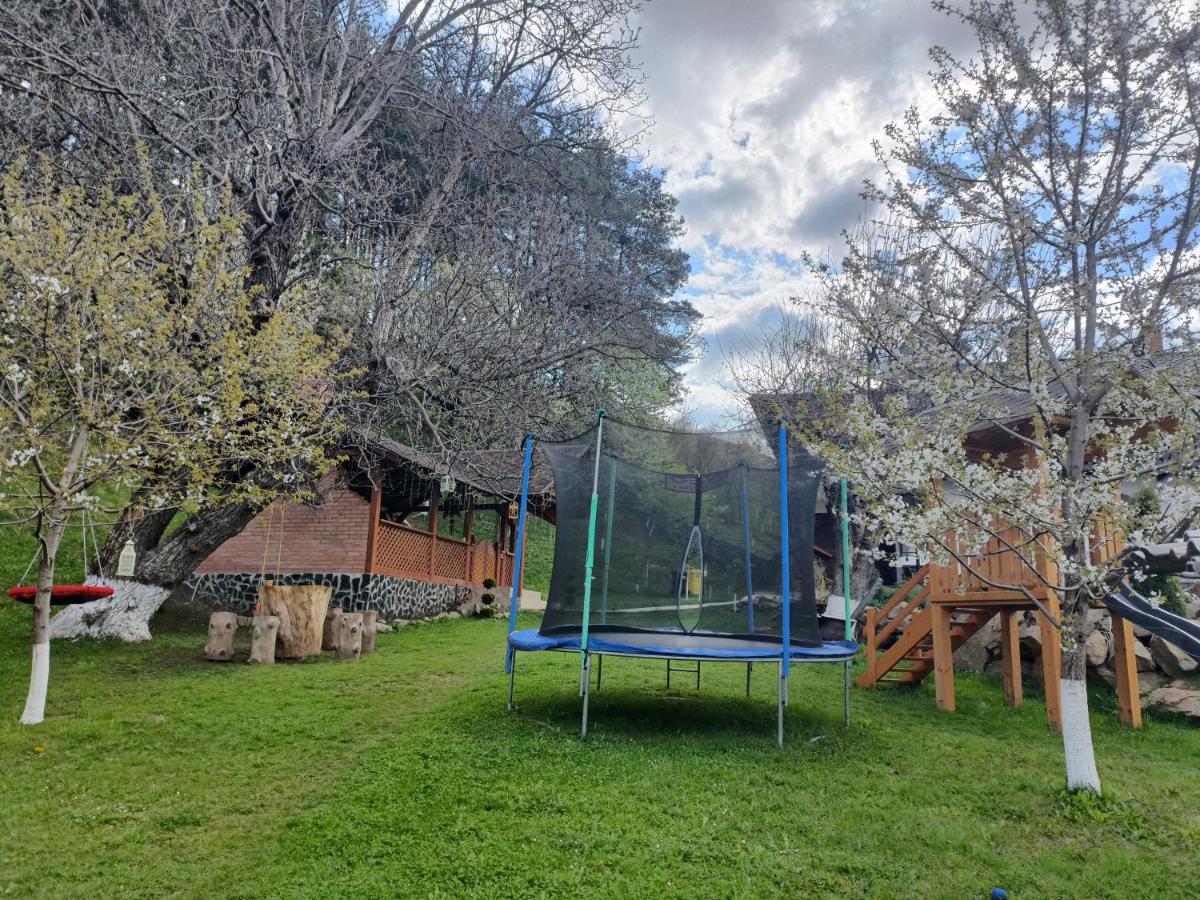 Casa Dintre Pini Villa Păltinoasa Eksteriør billede