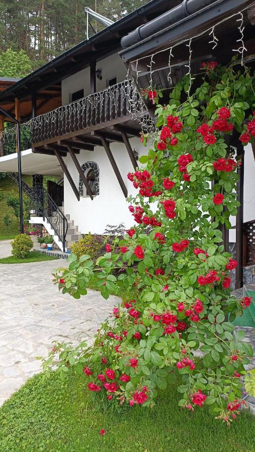 Casa Dintre Pini Villa Păltinoasa Eksteriør billede