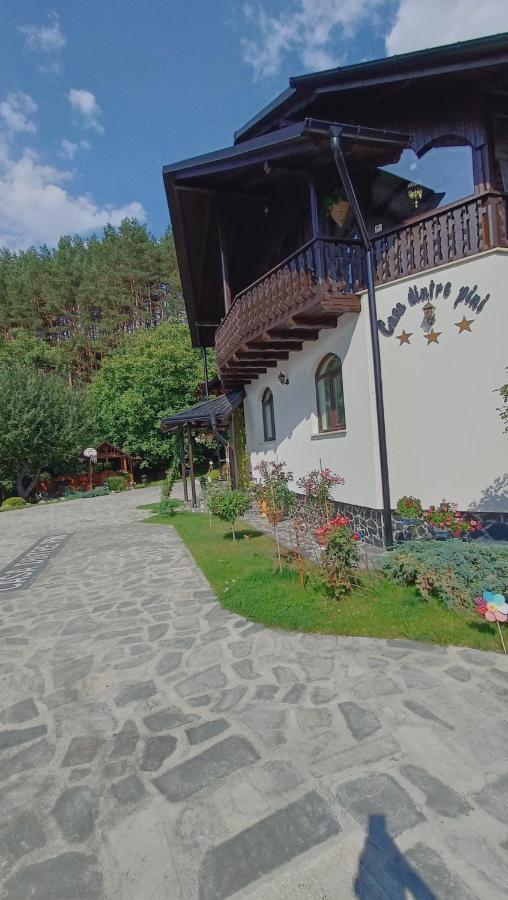 Casa Dintre Pini Villa Păltinoasa Eksteriør billede