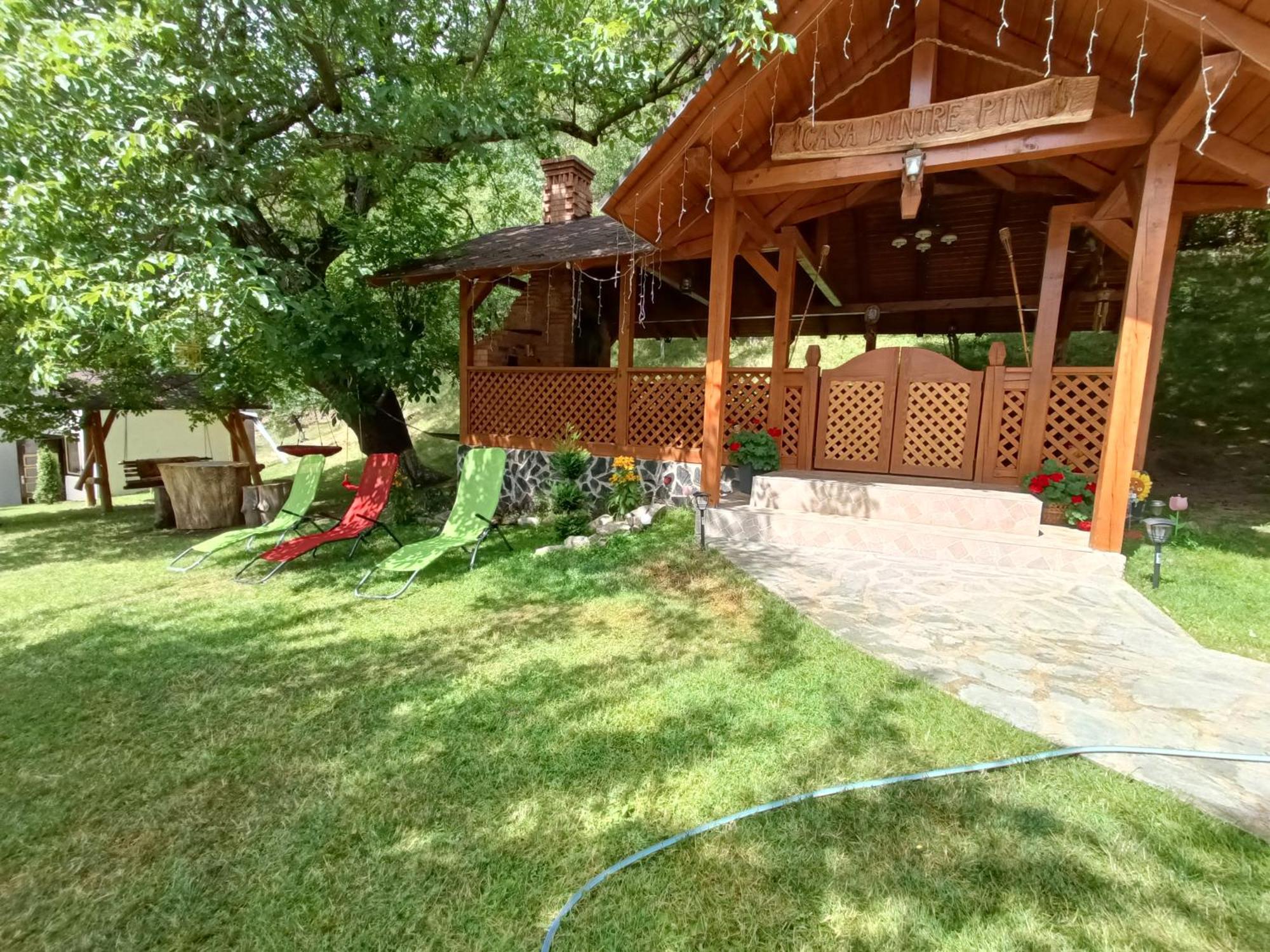 Casa Dintre Pini Villa Păltinoasa Eksteriør billede